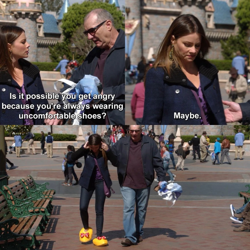 Modern family meme Disneyland